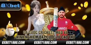 Cá cược Cricket - Mẹo và kinh nghiệm đặt cược từ cao thủ